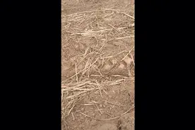 热爱地理风水！视频封面