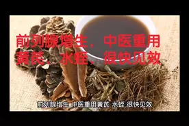 前列腺增生，中医重用黄芪、水蛭，很快见效