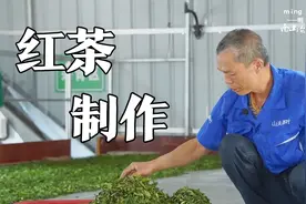 带有花果香的红茶如何而来？实拍红茶制作全过程，学会也能在家做