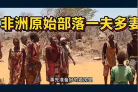 非洲原始部落一夫多妻，男女比例严重失调，男多女少视频封面