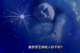 梦见狗咬人好不好？视频封面
