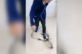 一边画画一边跳舞视频封面