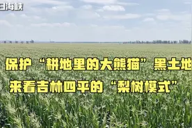 保护“耕地里的大熊猫”黑土地，来看吉林四平的“梨树模式”视频封面