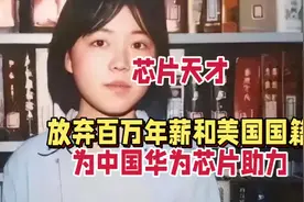 “解救华为于水火之中”的“江苏少女天才”，毛蔚，放弃百万年薪视频封面