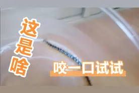 家里出现蜈蚣有什么说法？视频封面