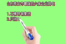 山东泰安市最强的六家企业排名视频封面
