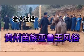 少数民族的风俗 贵州苗族亚鲁王砍马风俗视频封面