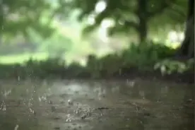 雨中的世界，给人一种难以抗拒的宁静视频封面