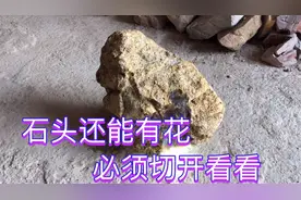 石头还能有花，必须切开看看，这也太神奇了视频封面