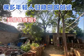 自驾焦作太行山年轻人归隐田园创业，这种创业方式咋样？值不值得视频封面