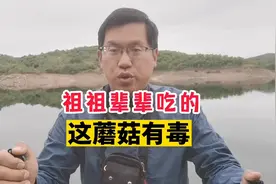 云南祖祖辈辈都吃的这种蘑菇，居然有毒视频封面