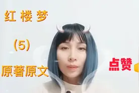 红楼梦原著原文（5）视频封面