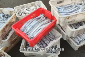 买早不买晚，青岛海鲜大虾上涨明显，38一斤块头真大视频封面
