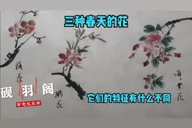 写意花鸟画—三种春天的花，有哪些不同的特征视频封面