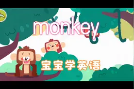 宝宝学英语，猴子（monkey）我们一起来学习英语单词“monkey”