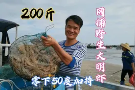大风浪渔民冒险出海，网捕200斤大明虾，阿锋零下50度加持卖完视频封面