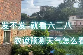 农谚：“发不发，就看六月二八”，准吗？2021年立秋后还热吗？视频封面