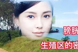 膀胱区、生殖区在面部反射区的健康密秘解析。视频封面