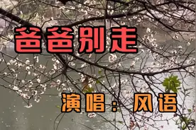 风语一首《爸爸别走》催人泪下，听完心都碎了，想念天堂里的爸爸