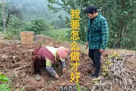 这也不对，那也不对，我要怎么做才正确，谁能给我出出主意。