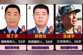 中国人民解放军·空军现任领导成员，犯我中华者，虽远必诛。视频封面