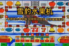 晚间分享经典街机游戏 雪豹水果机视频封面