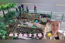 农家小院，前院后院都种上多肉了，地方还是不够怎么办？视频封面