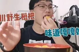 四川野生枇杷，35块钱五斤，酸酸甜甜的，真好吃视频封面