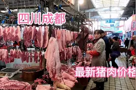 成都地铁出游龙泉驿，都说是养老的好地方，真实的物价究竟怎样？视频封面