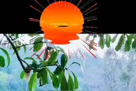 12月26日视频封面