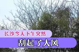 长沙今天气温很高，没想到下午却突然刮起了大风，挺吓人的视频封面
