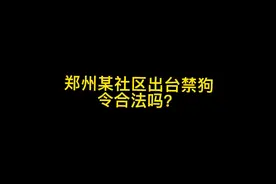 郑州某社区出台禁狗令合法吗？视频封面