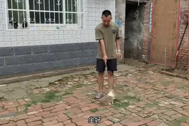 小短腿柯基每次出来玩就调皮捣蛋，怎么也不进窝，结果被主人罚站视频封面
