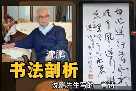 以沈鹏书法为例进行剖析，区分书法艺术与江湖体，你懂吗？视频封面