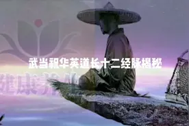 武当道长祝华英著作十二经脉揭秘视频封面