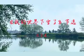 《我的世界下雪了》迟子建 朗诵：艳阳 配乐：《在一起的时光》