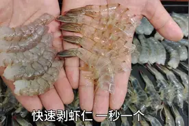 快速剥虾仁绝招，学会这个方法，剥的干净完整一秒一个，太实用了视频封面