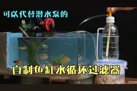 不费一度电的，自制鱼缸水循环过滤器，节能又环保。视频封面