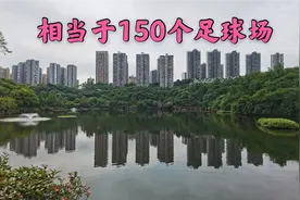 重庆主城最大的湿地公园：彩云湖国家湿地公园（线路攻略）视频封面