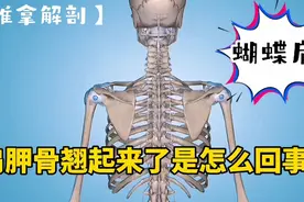 肩胛骨翘起来了是怎么回事？蝴蝶肩？视频封面