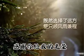 敢想敢做的人怎么会平庸？视频封面