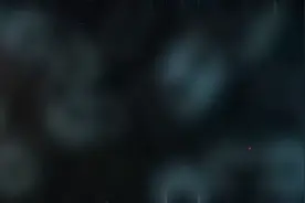 盘点游戏中最崩溃的时刻！无语😂视频封面