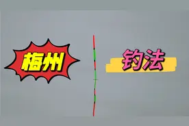 能让中鱼率提高9成，把短子线发挥到极致，这就是梅州钓法的精髓视频封面