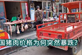 全国猪肉价格为何突然下降？背后有什么猫腻？这个视频给你答案！视频封面