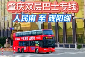 旅游专线：肇庆双层巴士，人民南至砚阳湖站，第一人称视角看风景视频封面