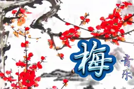 凡简精灵一首《梅》冬天的梅，是我心灵的唯美...视频封面