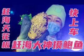 2022赶海鲍鱼天花板，青岛赶海大神真实拍摄，来不及录了，快上车视频封面