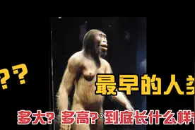 你必须知道!世界最知名的大美女露西,多高？多大？到底长什么样？视频封面