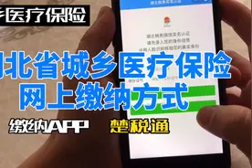 湖北省城乡医疗保险楚税通APP缴纳流程，帮家里人代缴城乡医保视频封面