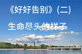 每日文摘: 《好好告别》——生命尽头的样子